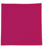 01209 Fuchsia Front