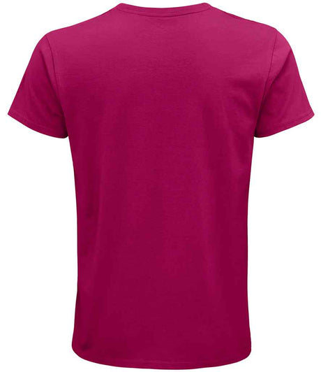 03582 Fuchsia Back