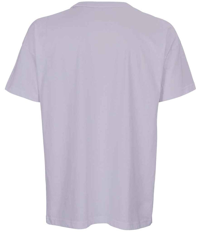 03806 Lilac Back