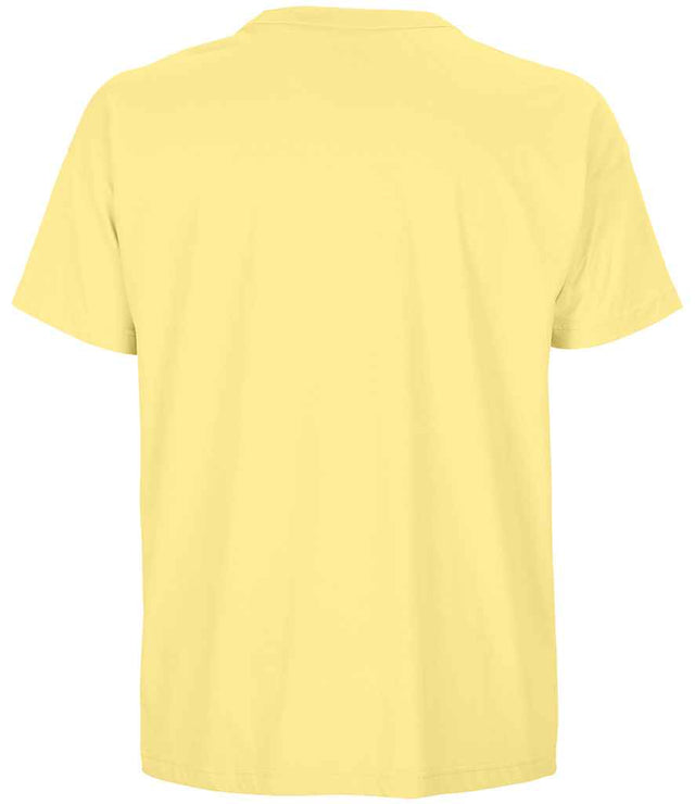 03806 Light Yellow Back