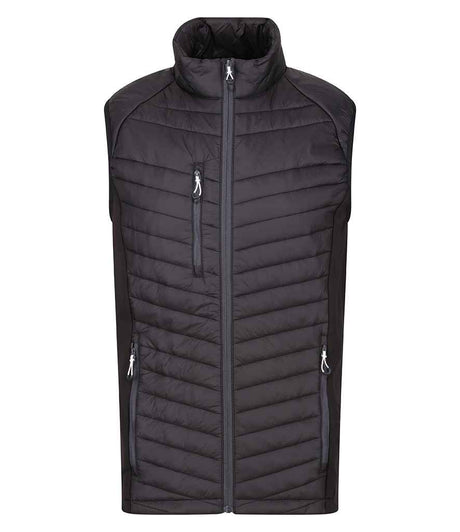 RG447 Navy/Seal Grey Front